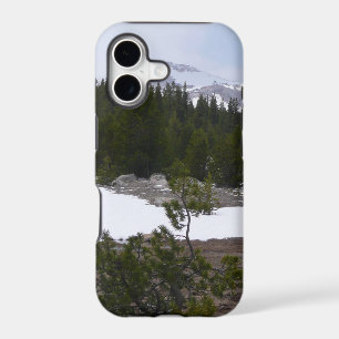 Sierra Nevada Mountains and Snow at Yosemite