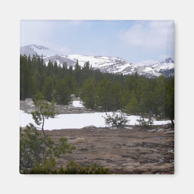 Sierra Nevada Mountains and Snow at Yosemite Magnet (Front)