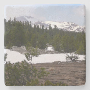 Sierra Nevada Mountains and Snow at Yosemite Stone Coaster