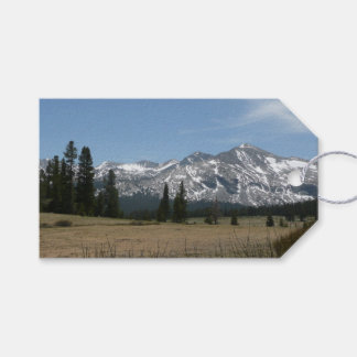Sierra Nevada Mountains I from Yosemite Gift Tags
