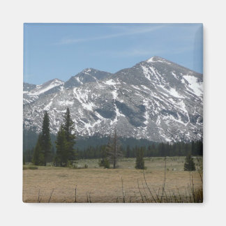 Sierra Nevada Mountains I from Yosemite Magnet