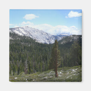 Sierra Nevada Mountains II from Yosemite Magnet