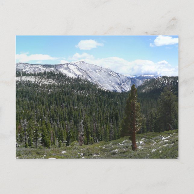 Sierra Nevada Mountains II from Yosemite Postcard (Front)