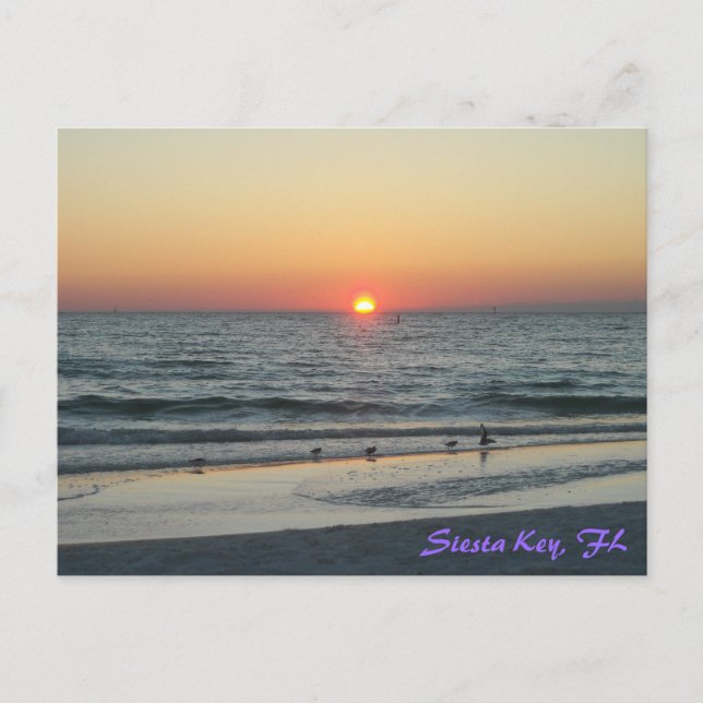 Siesta Key Florida Sunset Postcard (Front)