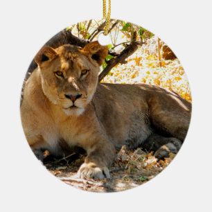 Siesta Time Ceramic Tree Decoration