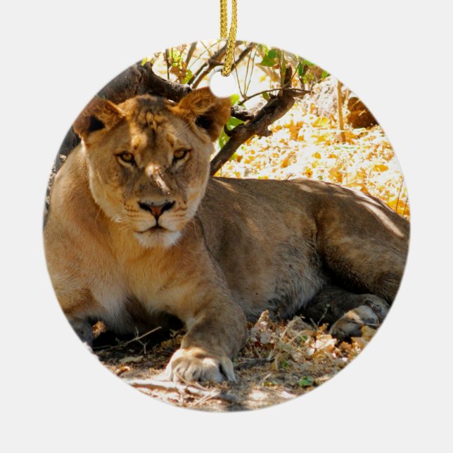 Siesta Time Ceramic Tree Decoration (Front)