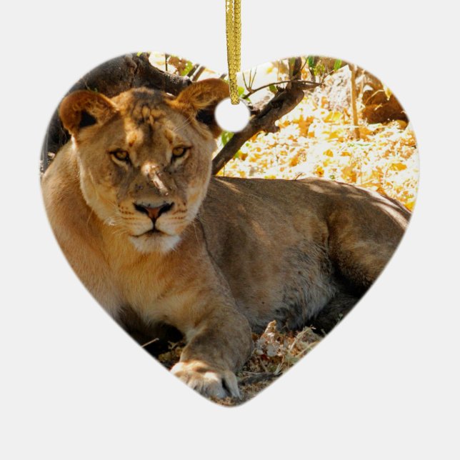 Siesta Time Ceramic Tree Decoration (Front)