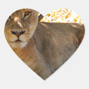 Siesta Time Heart Sticker