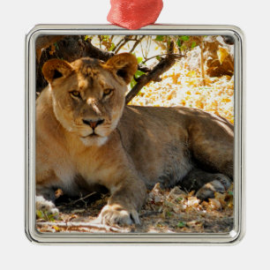Siesta Time Metal Tree Decoration