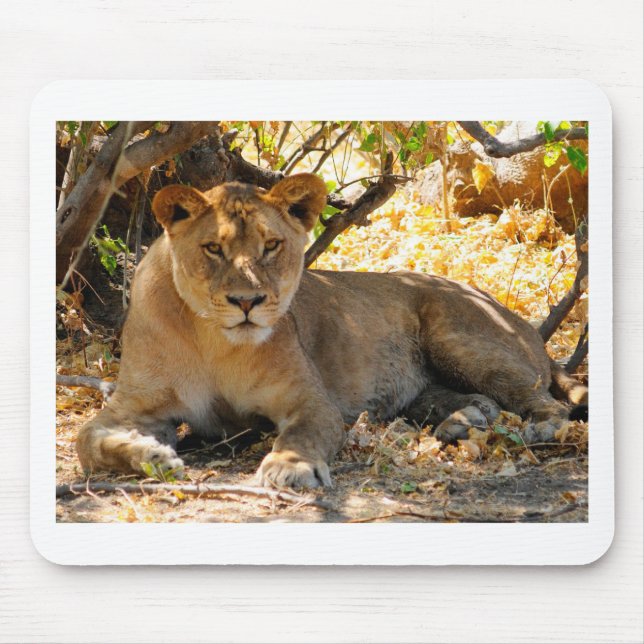 Siesta Time Mouse Pad (Front)