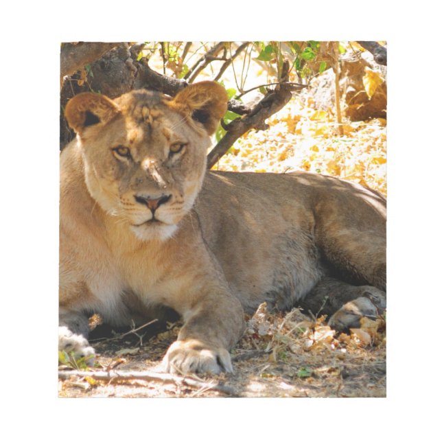 Siesta Time Notepad (Front)