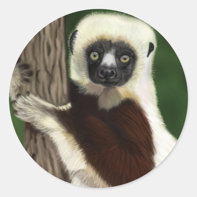 Sifaka stickers (Front)