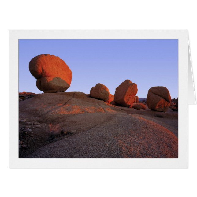 "Sign Of Four" (Front Horizontal)