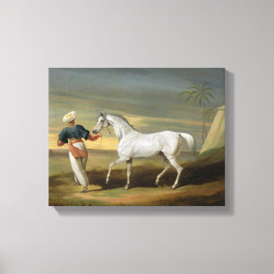 Signal, a grey Arab, with a Groom in the Desert (o Canvas Print