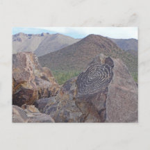 Signal Hill Petroglyph - Saguaro NP - Arizona