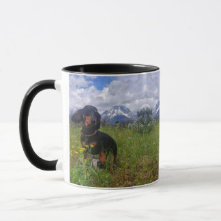 Signal Mountain Mug
