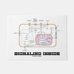 Signalling Inside Signal Transduction Pathways Doormat