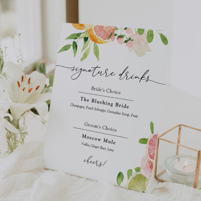 Signature Drinks Pink Citrus Fruit Sign (Creator Uploaded)