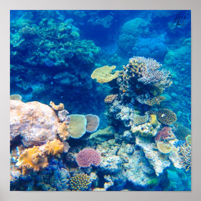 Signed Great Barrier Reef Coral - #1 Poster (Front)