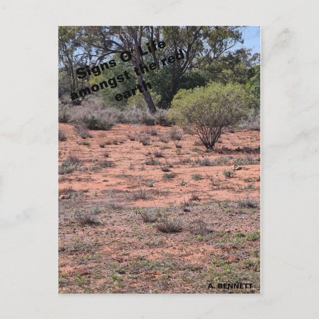 Signs O' Life Postcard (Front)