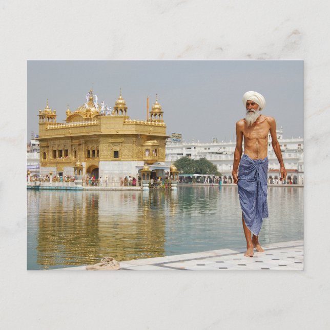 Sikh pilgrim at the Golden Temple Amritsar India Postcard (Front)