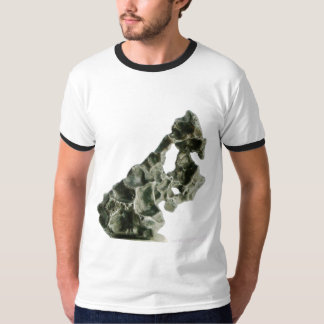 Sikhote-Alin meteorite T-Shirt