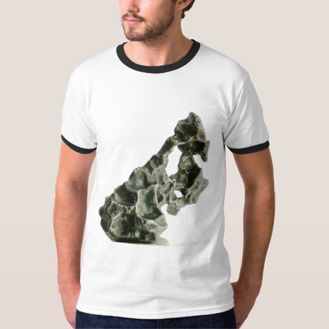 Sikhote-Alin meteorite T-Shirt (Front)