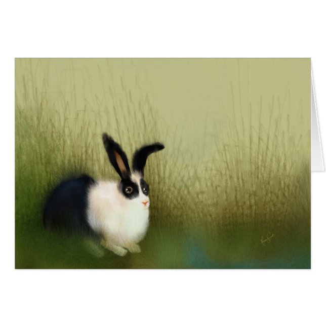 Silence at the Cape (Front Horizontal)