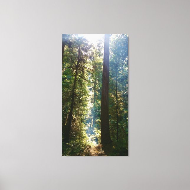 Silence Canvas Print (Front)
