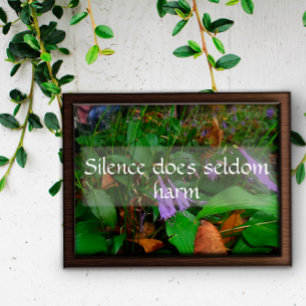 Silence does seldom harm wisdom saying poster