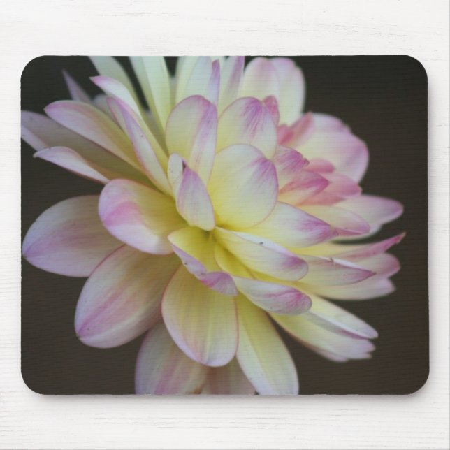 Silence Mouse Pad (Front)