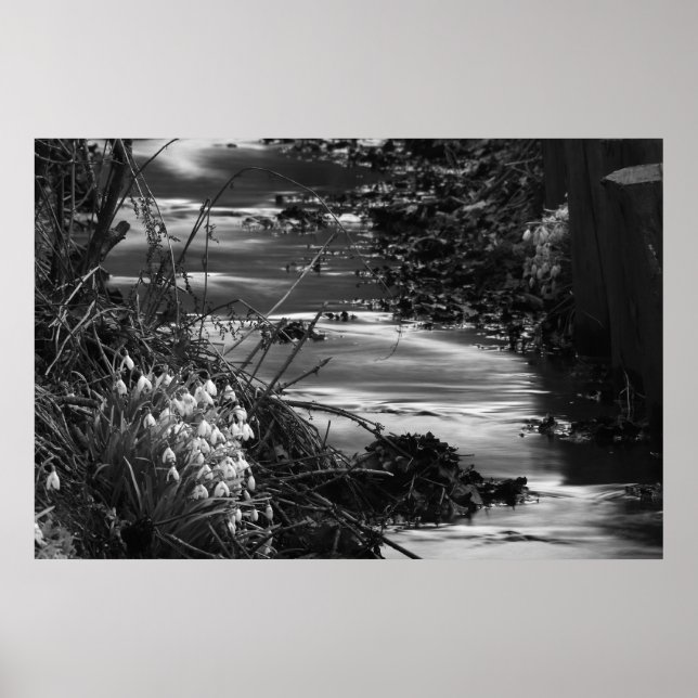 Silent creek poster (Front)