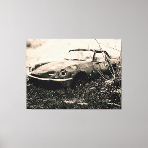 Silent History Canvas Print