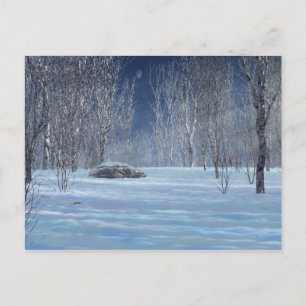 Silent Light Postcard