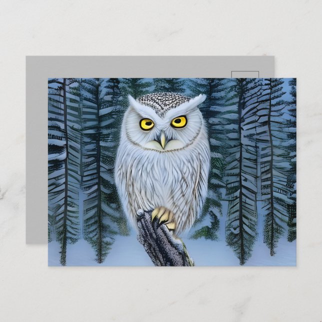 Silent Watch - Northern Winter Woods Gray Owl Postcard (Front/Back)