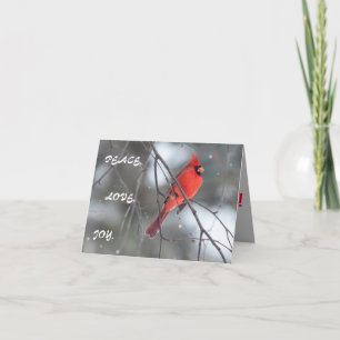 Silent Wonders Christmas Greeting Card Cardinal