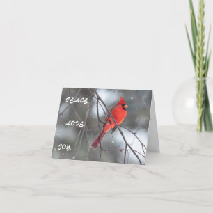 Silent Wonders Holiday Greeting Card Cardinal