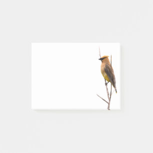 Silent Wonders Post it notes Cedar Waxwing