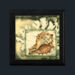 Silhouette Conch Shell Gift Box<br><div class="desc">Stay relaxed with this piece of contemporary art by Jennifer Goldberger. Her collection of seashell art is relaxing and inspirational. This piece of art focuses on a large Conch seashell surrounded by green coral reef. Get this beautiful ocean art today with a silhouette feel on your next product.</div>