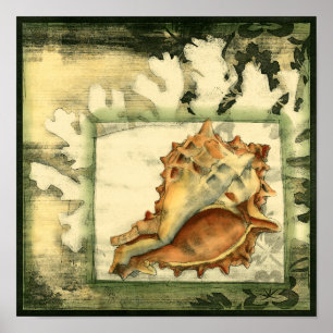 Silhouette Conch Shell Poster