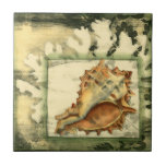 Silhouette Conch Shell Tile<br><div class="desc">Stay relaxed with this piece of contemporary art by Jennifer Goldberger. Her collection of seashell art is relaxing and inspirational. This piece of art focuses on a large Conch seashell surrounded by green coral reef. Get this beautiful ocean art today with a silhouette feel on your next product.</div>