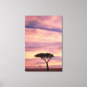 Silhouette image of acacia tree at sunrise canvas print