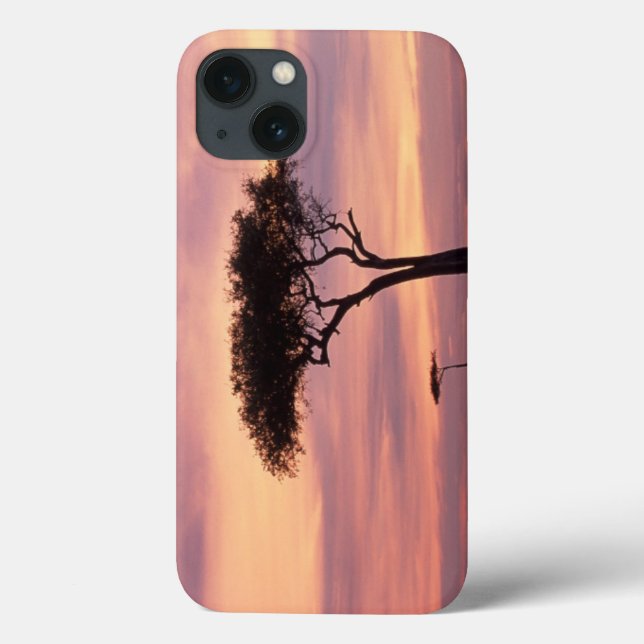 Silhouette image of acacia tree at sunrise Case-Mate iPhone case (Back)