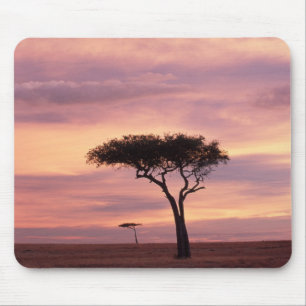 Silhouette image of acacia tree at sunrise mouse pad