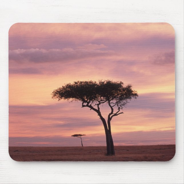 Silhouette image of acacia tree at sunrise mouse pad (Front)