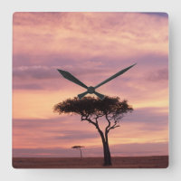 Silhouette image of acacia tree at sunrise
