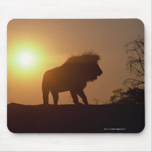 Silhouette of a lion mouse pad