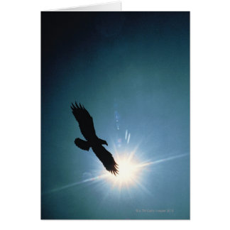 Silhouette of bald eagle flying in sky