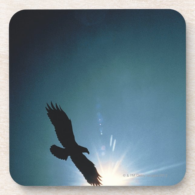 Silhouette of bald eagle flying in sky coaster (Front)
