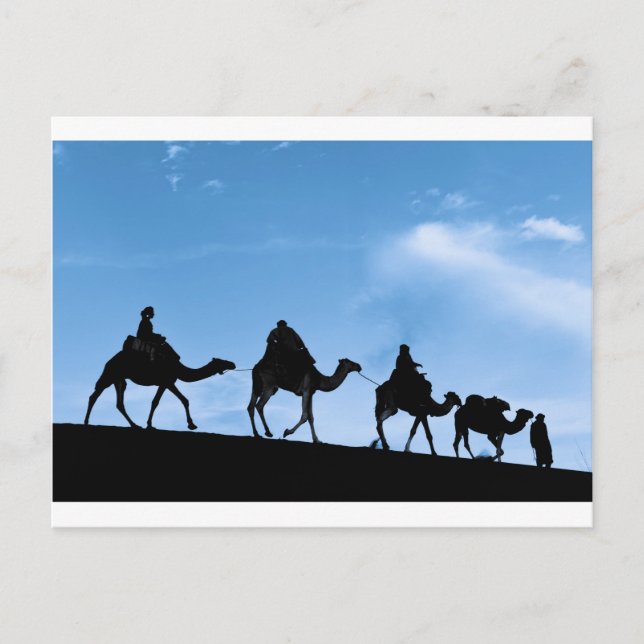 Silhouette of Camel Caravan Postcard (Front)